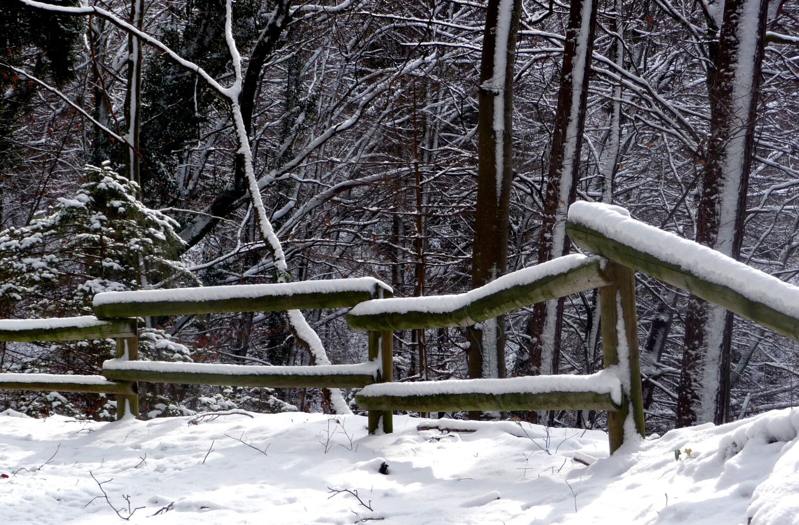 Panasonic Lumix DMC-TZ5 sample photo. Winter, snow, winter landscape photography