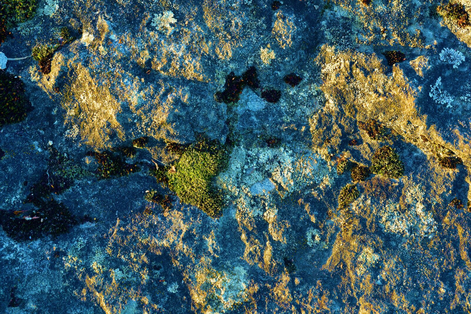 Nikon D750 sample photo. Limestone, rock, colorful photography