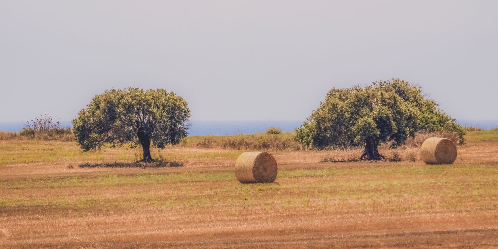Nikon D3300 sample photo. Hay, straw, bale photography