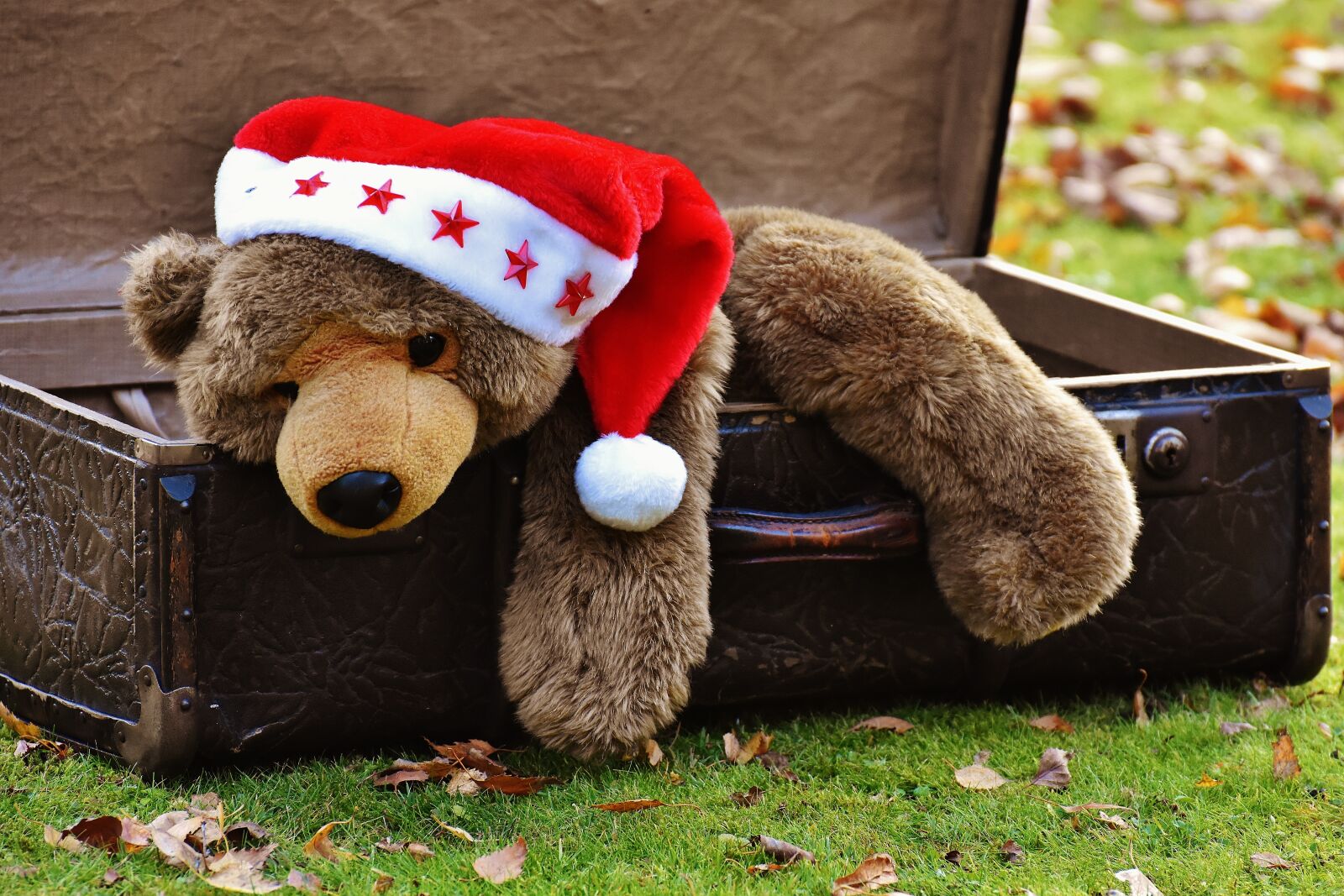 Nikon D7200 sample photo. Christmas, luggage, antique photography