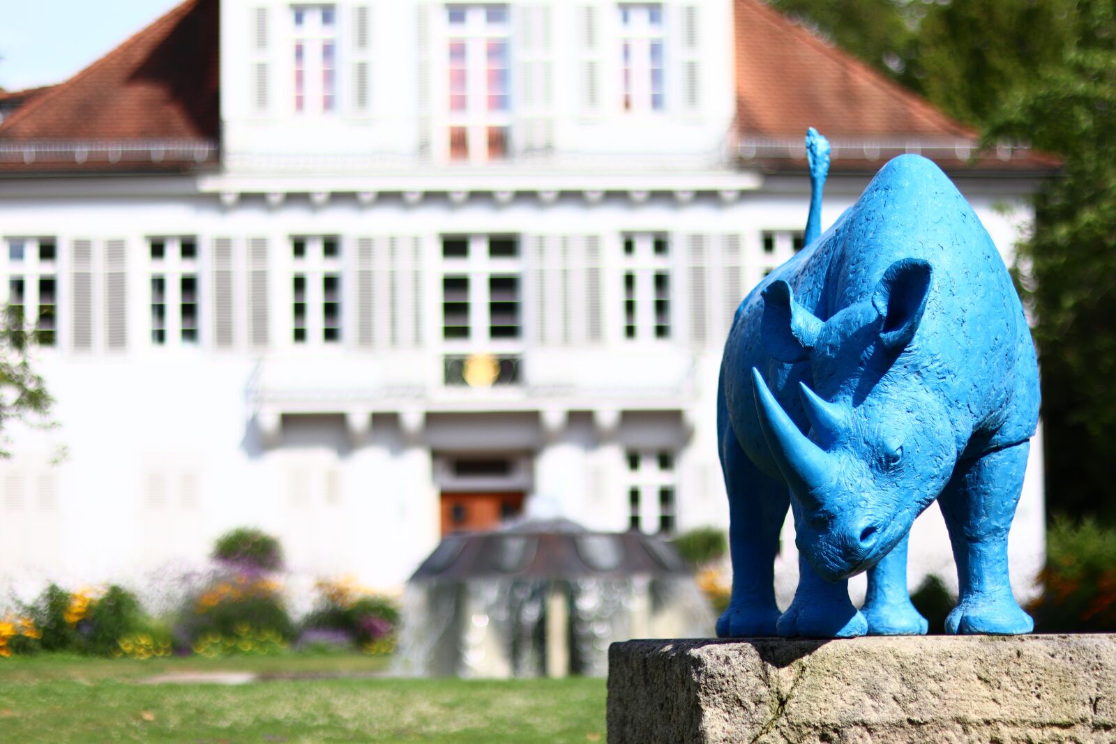 Canon EOS M50 (EOS Kiss M) + Canon EF 50mm F1.8 STM sample photo. Summer, town hall, lahr photography