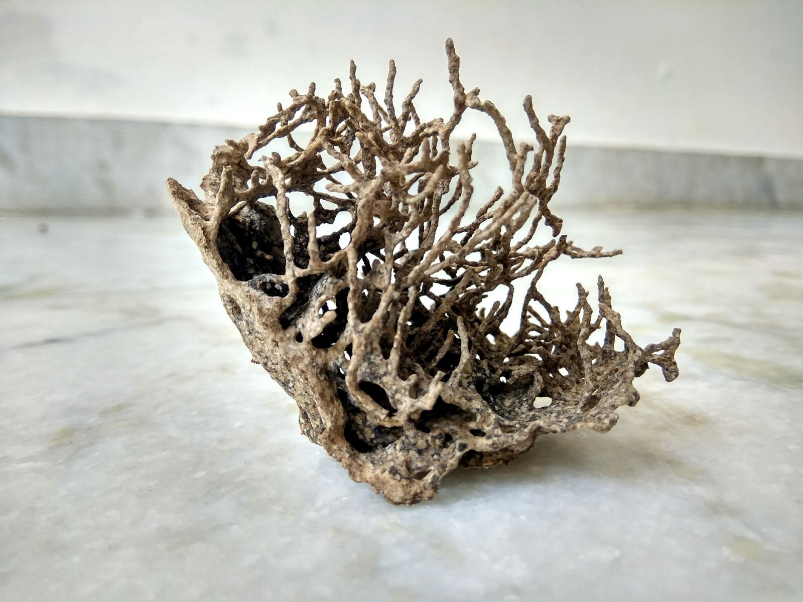 Xiaomi Redmi Note 4 sample photo. Nature sculp, termite made photography
