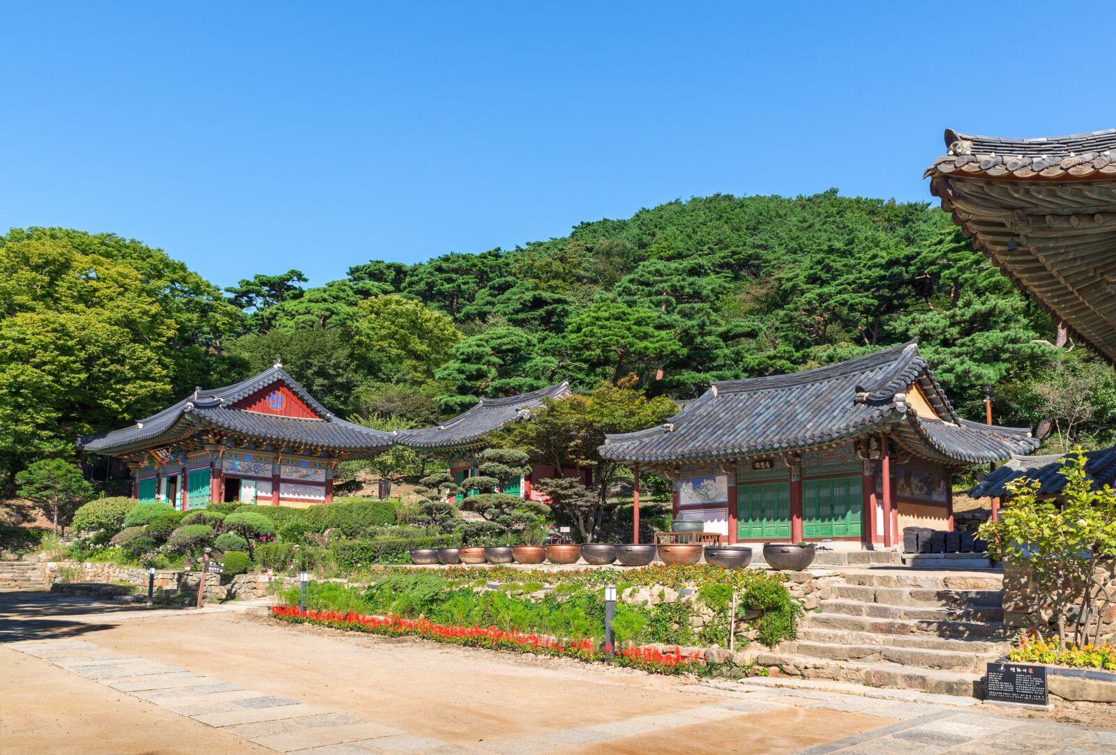 Nikon D750 sample photo. Korea, incheon, ganghwado photography