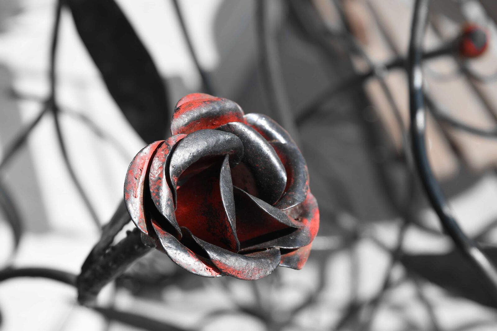 Nikon D5500 sample photo. Art, cast iron, metal photography