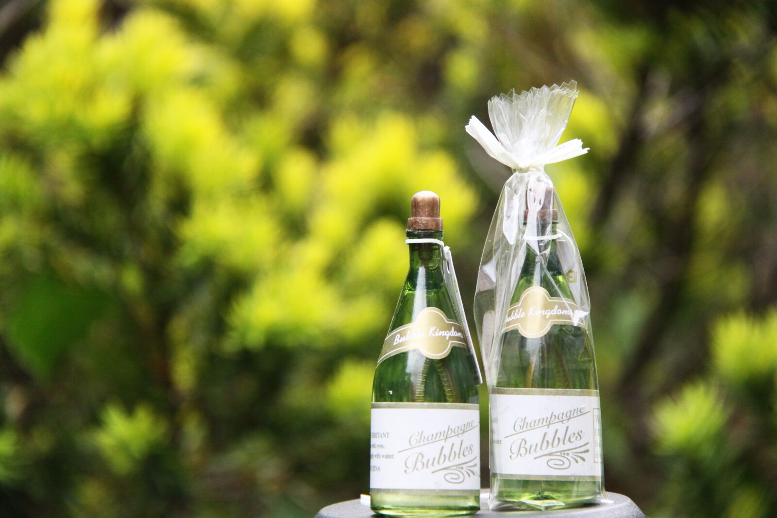 Canon EOS 50D sample photo. Green, bottle, happy photography