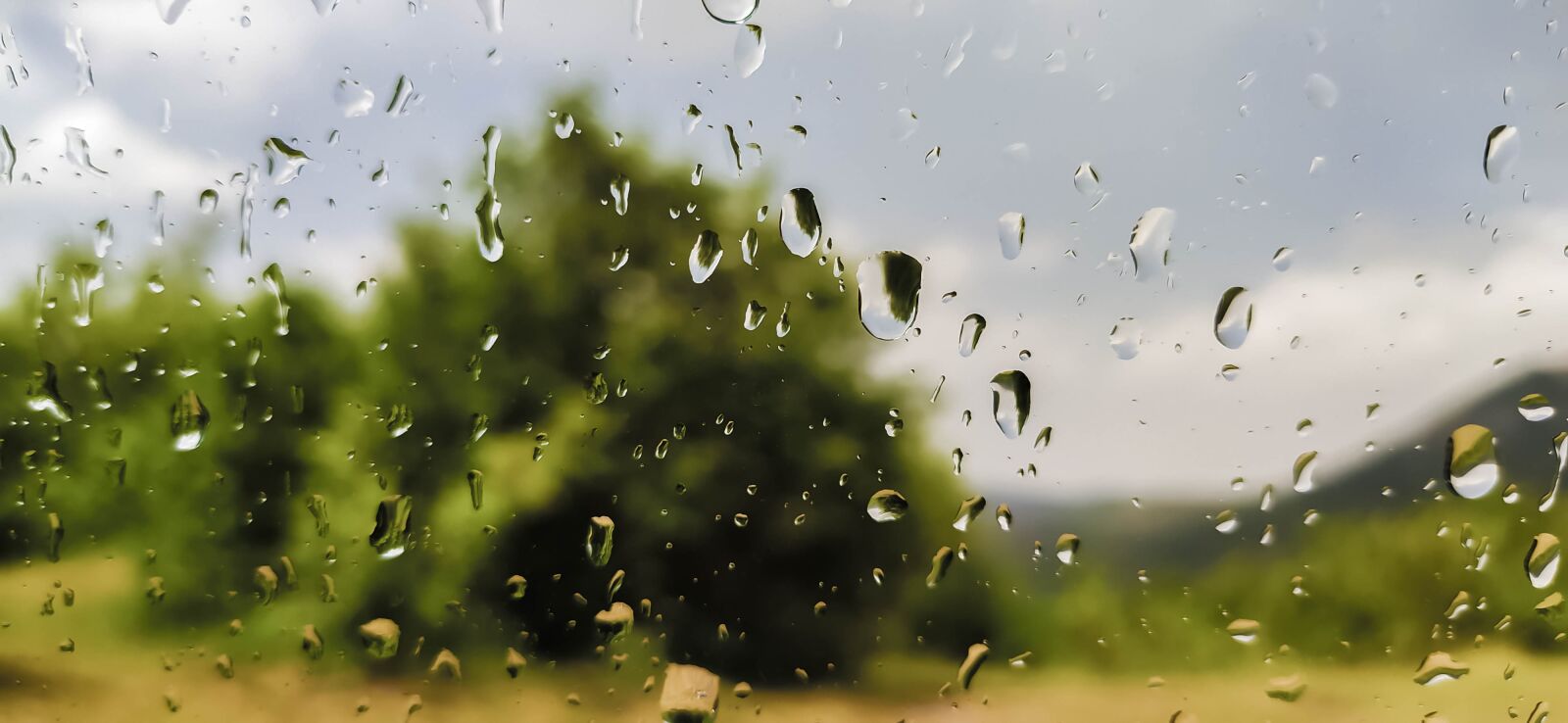 Xiaomi Redmi Note 8 sample photo. Love, rain drops, drop photography