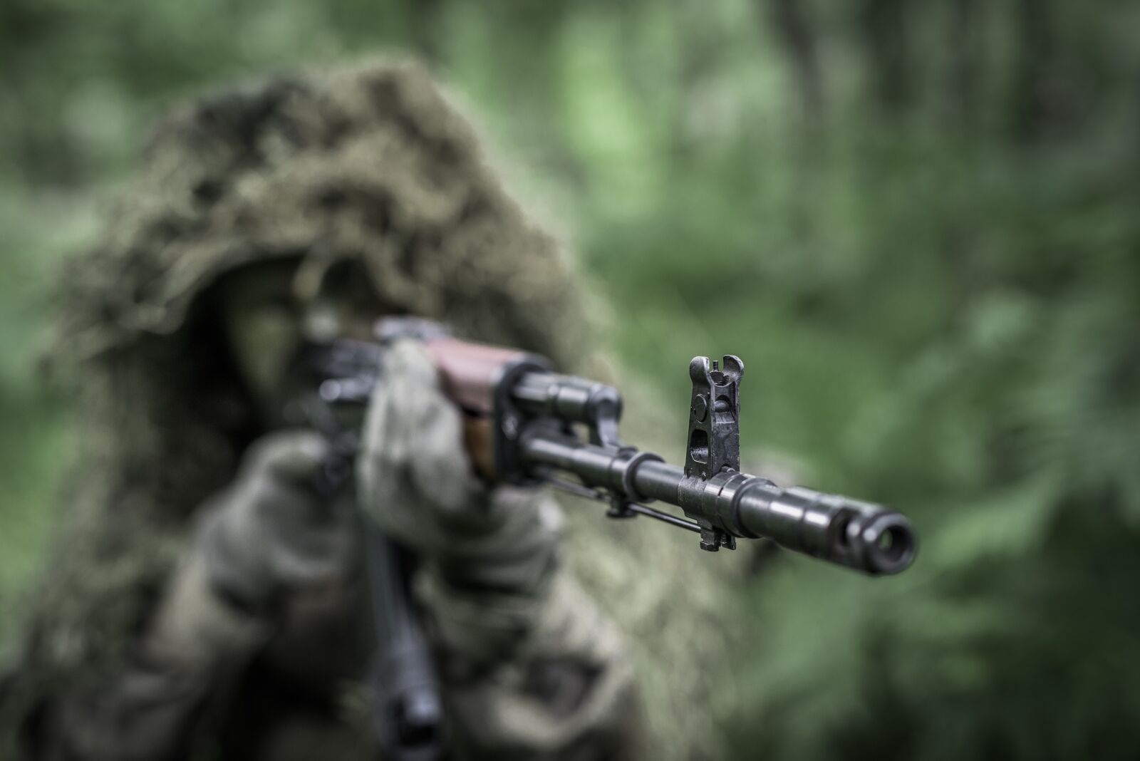 Nikon D800 sample photo. Rifle, gun, weapon photography
