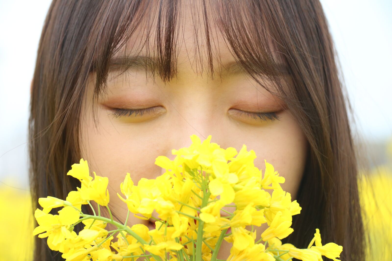 Canon EF-S 17-85mm F4-5.6 IS USM sample photo. Wei liu wen, rape photography