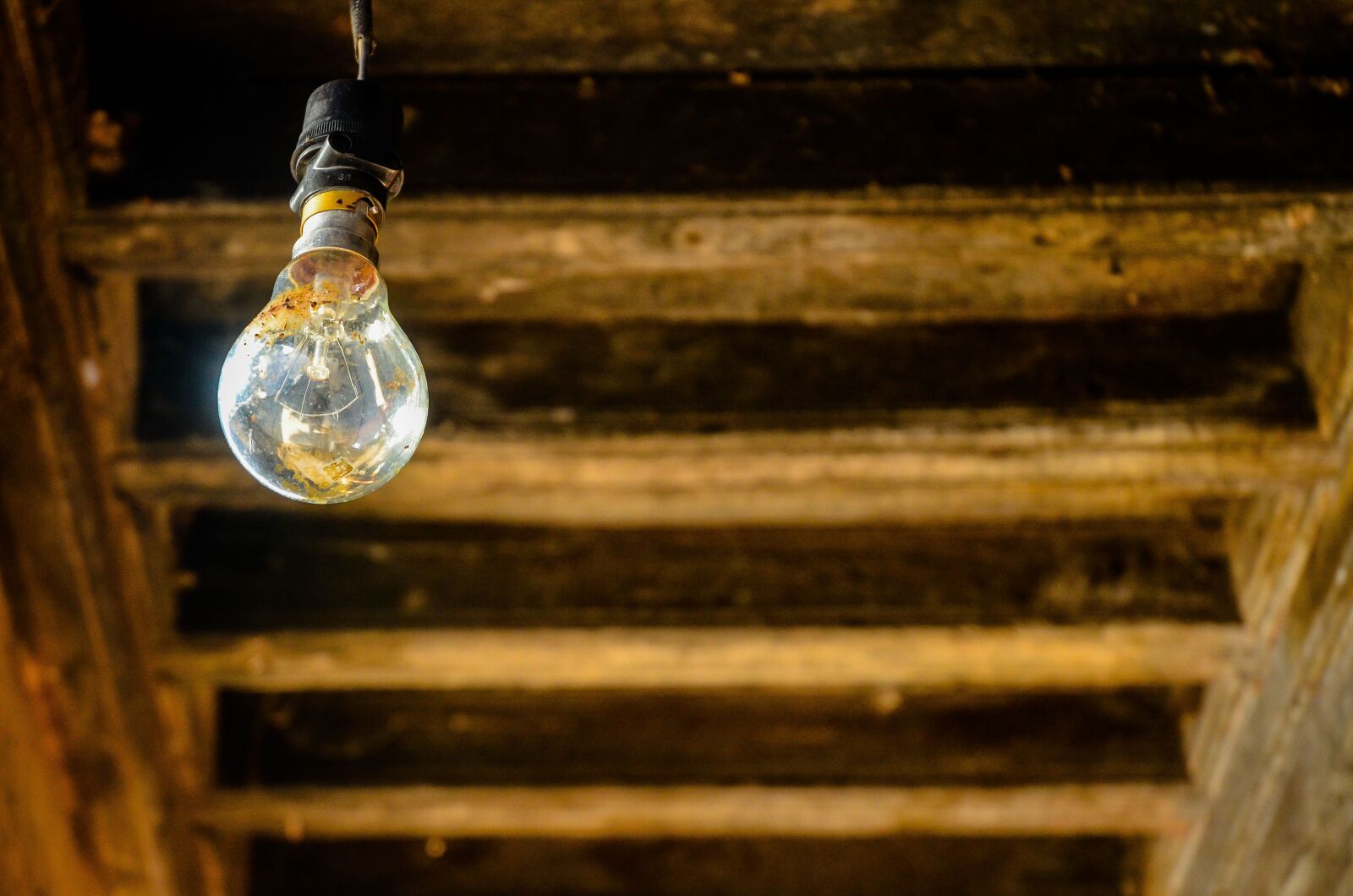 Nikon D7000 sample photo. Electric bulb, roof, interior photography