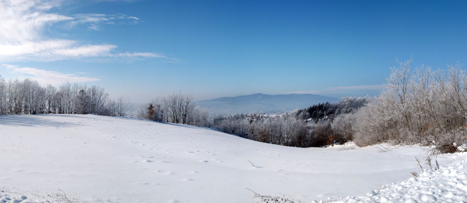 Nikon D70s sample photo. Winter, nikon, snow photography