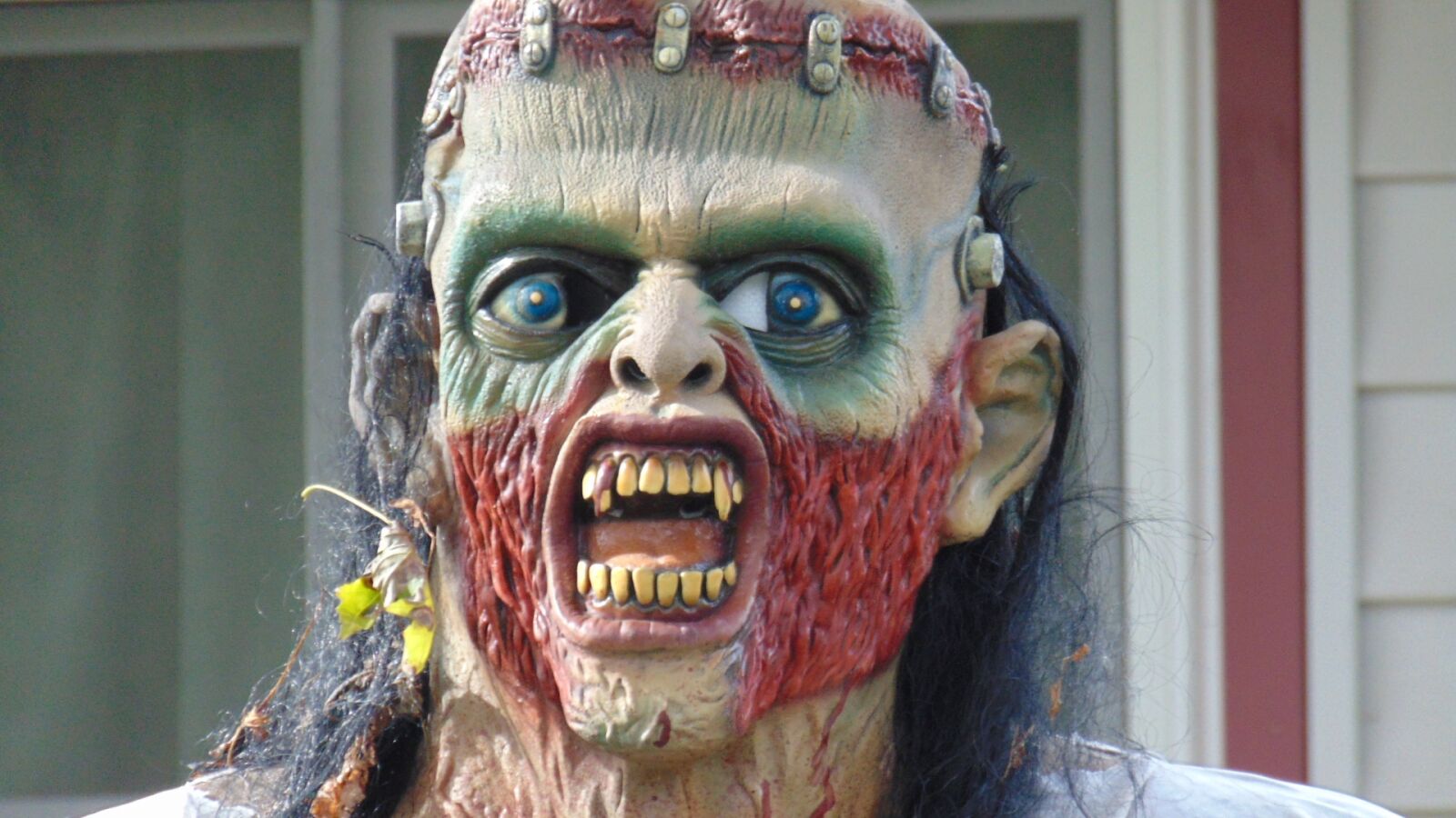 Sony Cyber-shot DSC-H300 sample photo. Halloween, halloween mask, mask photography