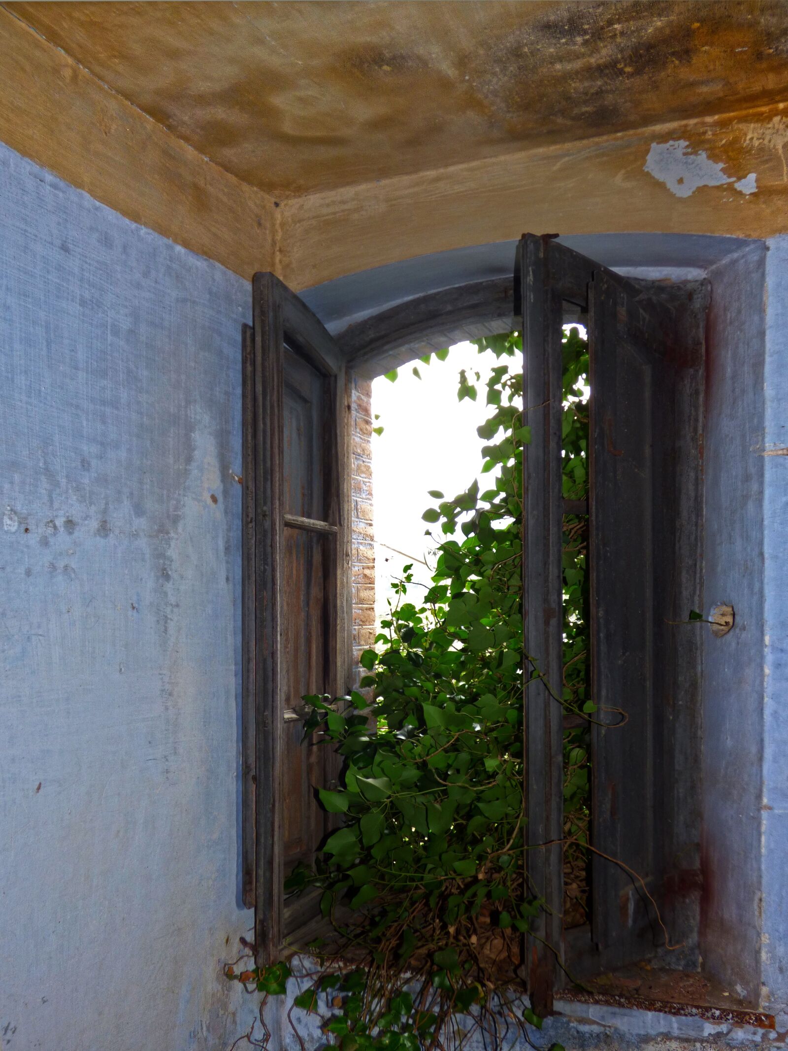 Panasonic Lumix DMC-FZ70 sample photo. Window, abandoned, old photography