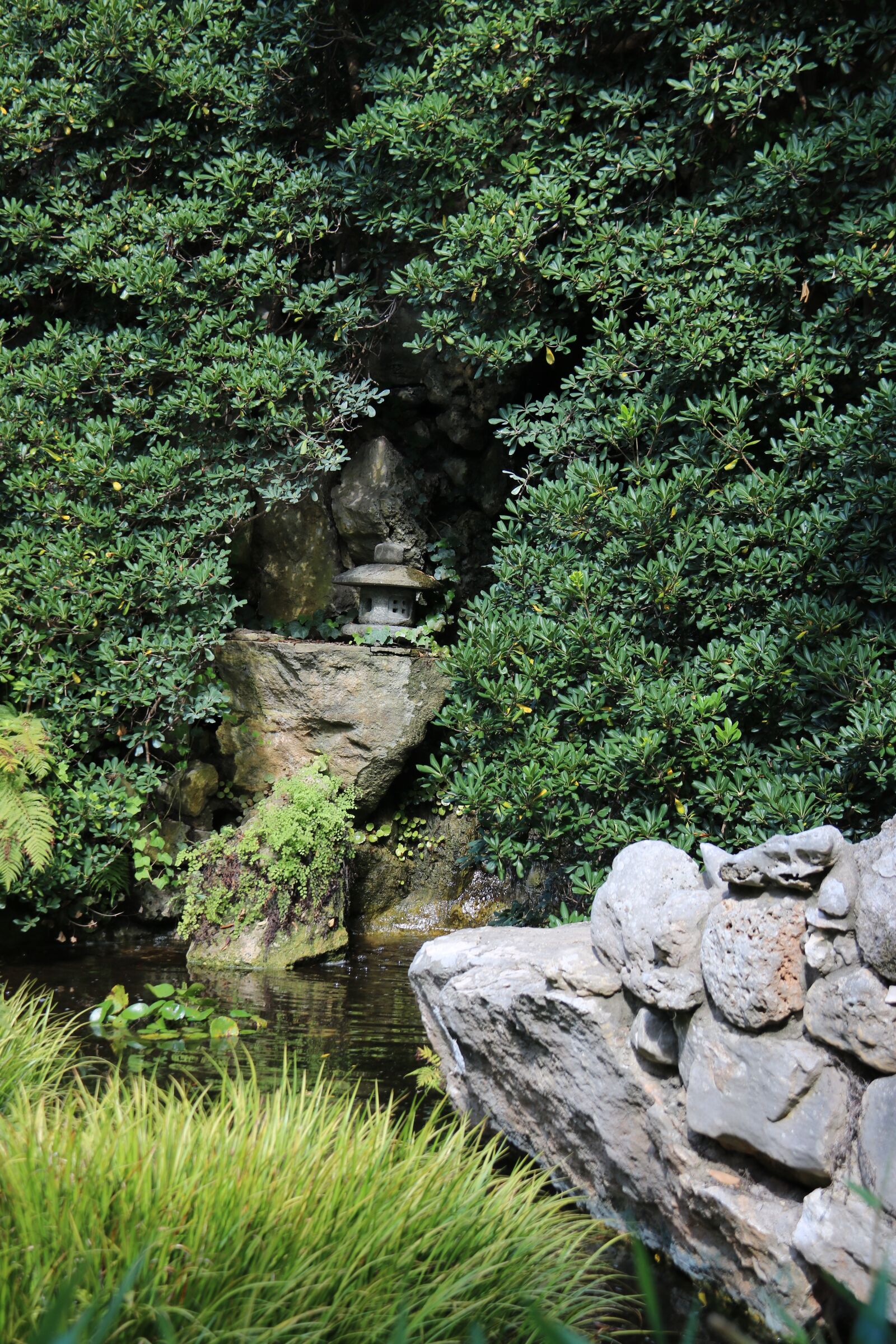 Canon EOS 750D (EOS Rebel T6i / EOS Kiss X8i) sample photo. Japanese, park, nature photography