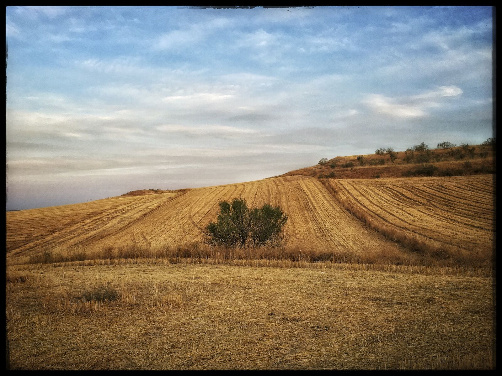 Apple iPhone 6s sample photo. Landscape, nature, summer photography