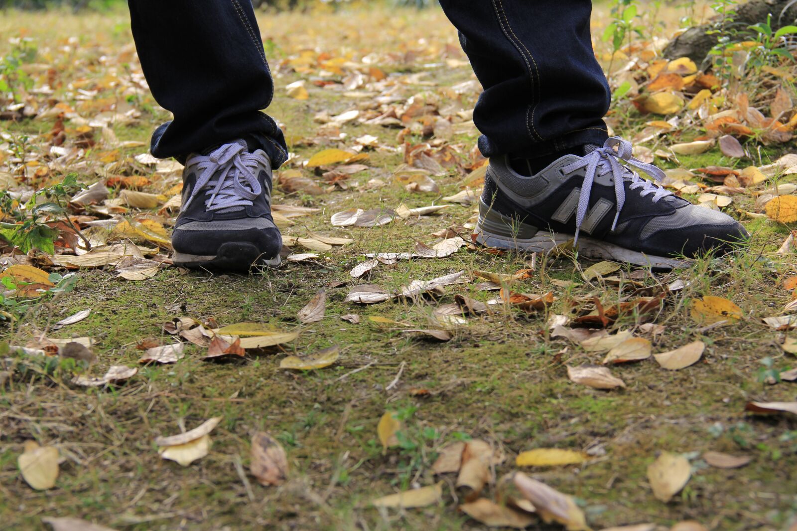 Canon EF-S 18-135mm F3.5-5.6 IS sample photo. New balance, shoes, defoliation photography