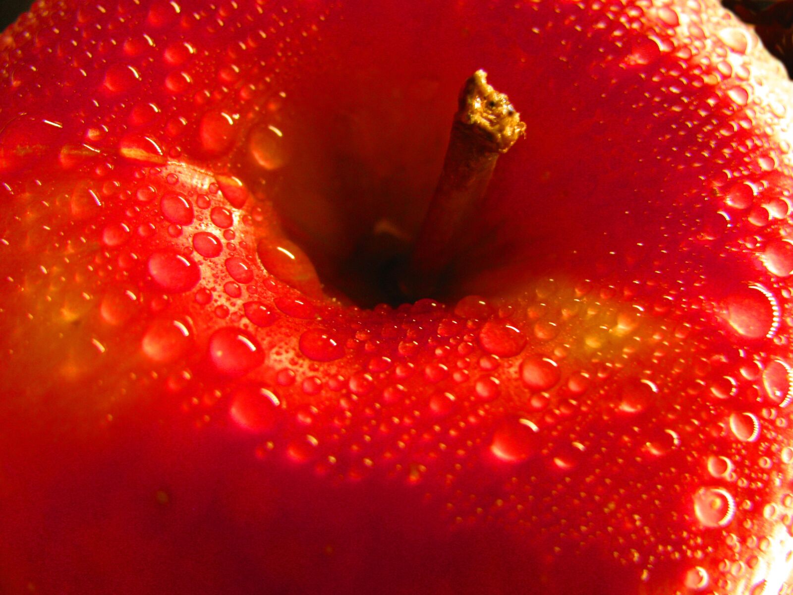 Canon PowerShot SX110 IS sample photo. Red apple, apple, fruit photography