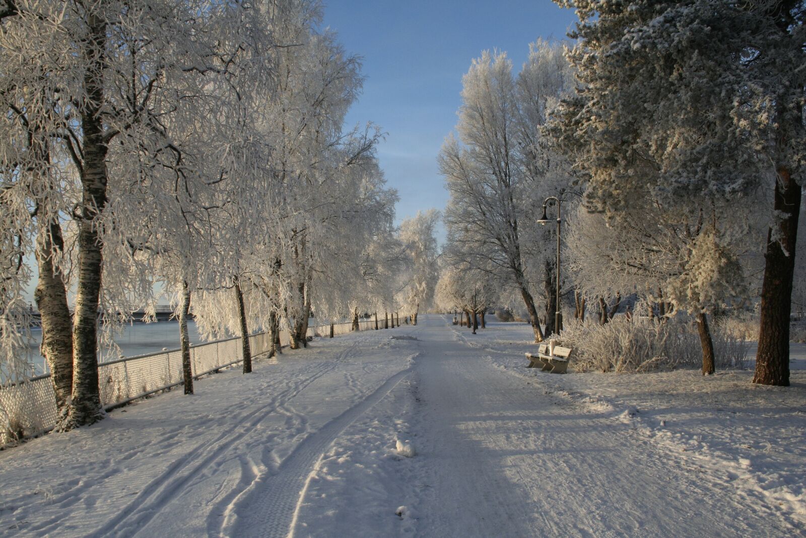 Canon EOS 350D (EOS Digital Rebel XT / EOS Kiss Digital N) sample photo. Winter, snow, trees photography