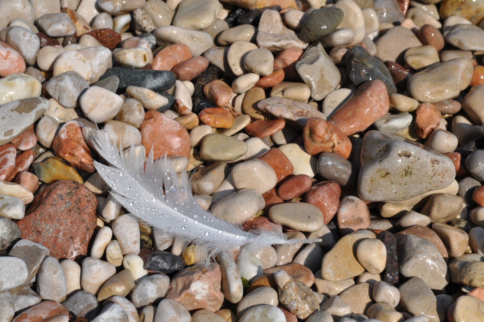 Nikon D5000 sample photo. Feather, pebbles, stone photography