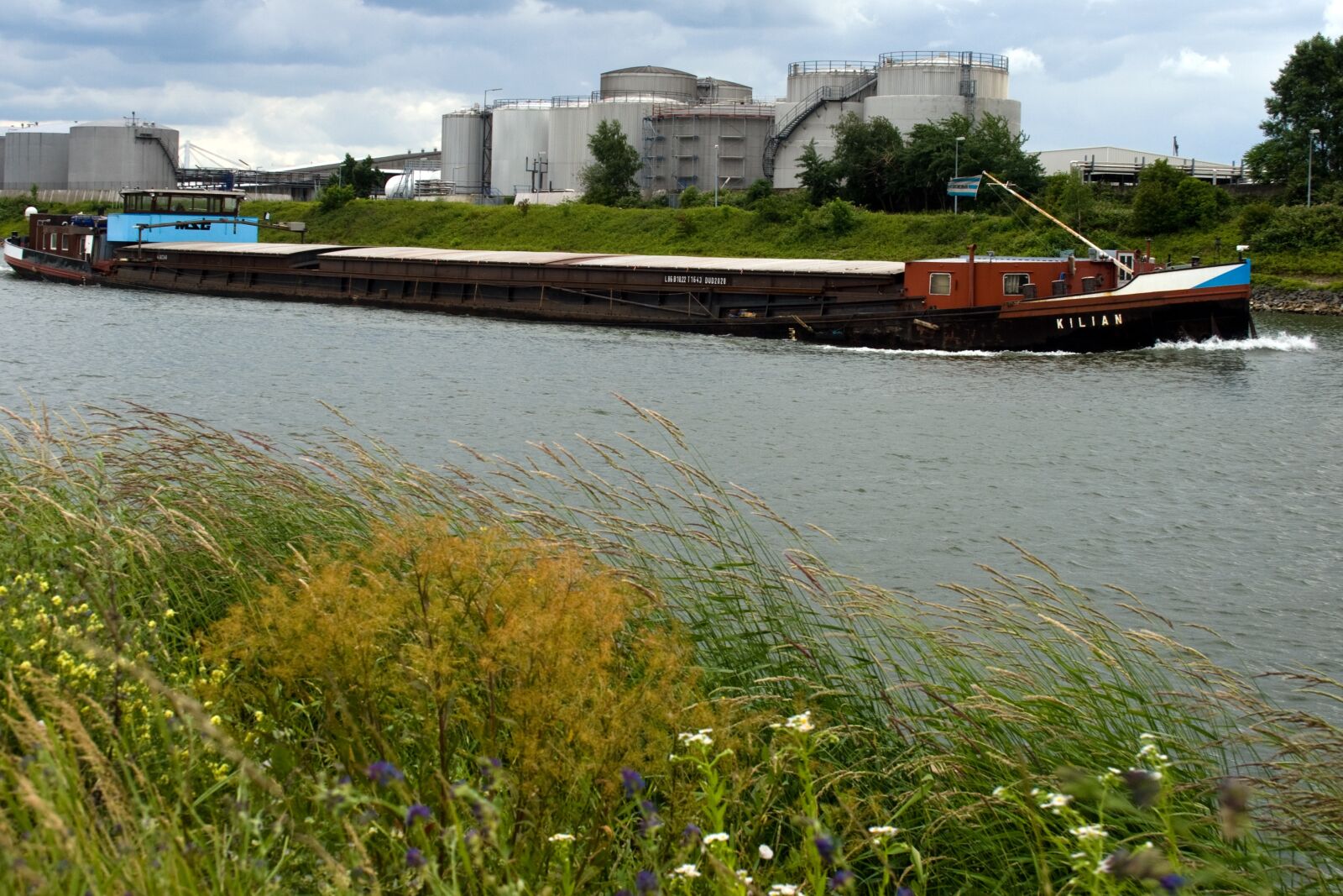 Canon EF-S 18-55mm F3.5-5.6 II sample photo. Rhine, bank, shipping photography