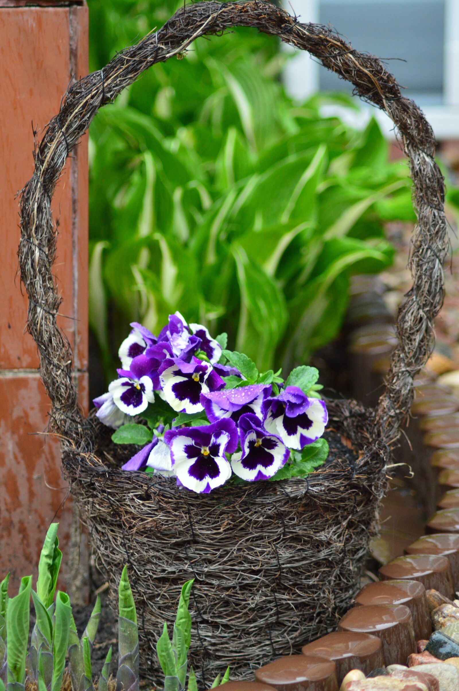 Nikon D3200 sample photo. Flower, garden, nature photography