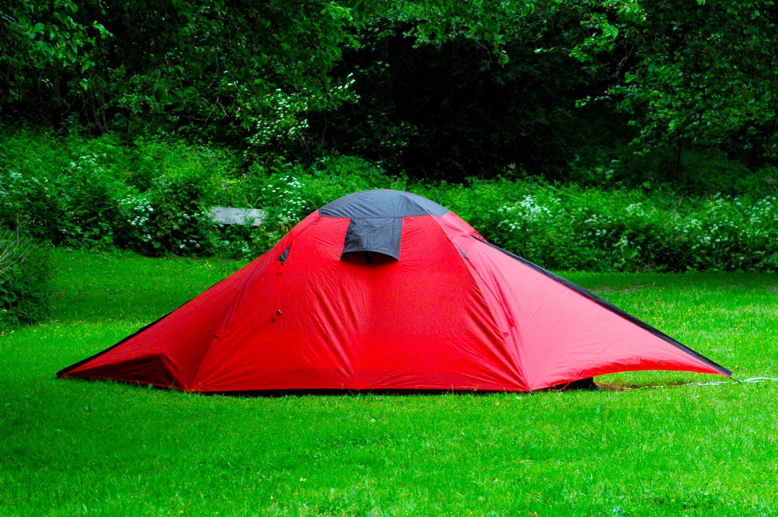 Nikon D70s sample photo. Camping, tent, nature photography