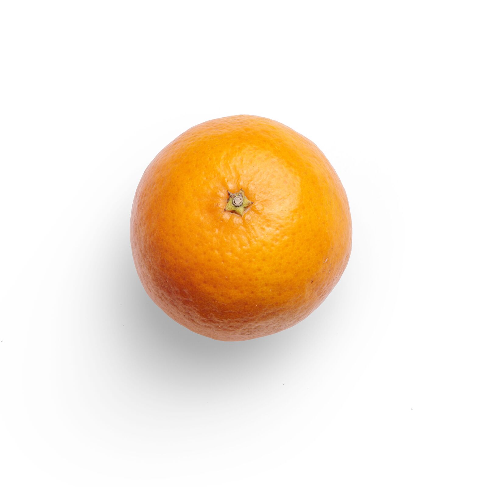 Canon EF 100mm F2.8L Macro IS USM sample photo. Top, isolated, white background photography