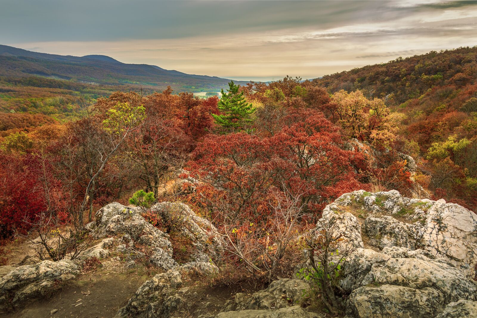 Nikon D610 sample photo. Autumn, landscape, nature photography