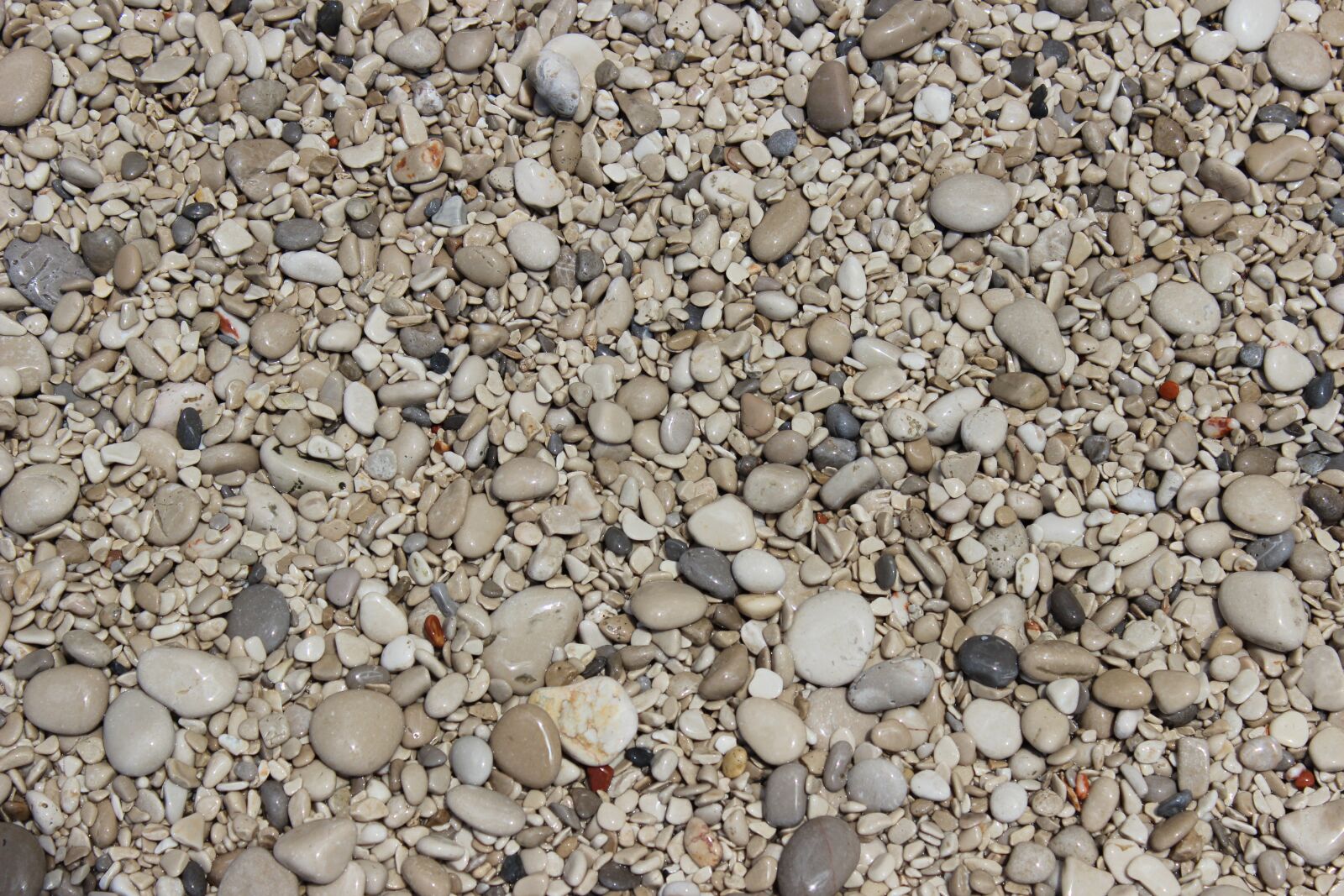 Canon EOS 600D (Rebel EOS T3i / EOS Kiss X5) sample photo. Sand, background, decorative photography