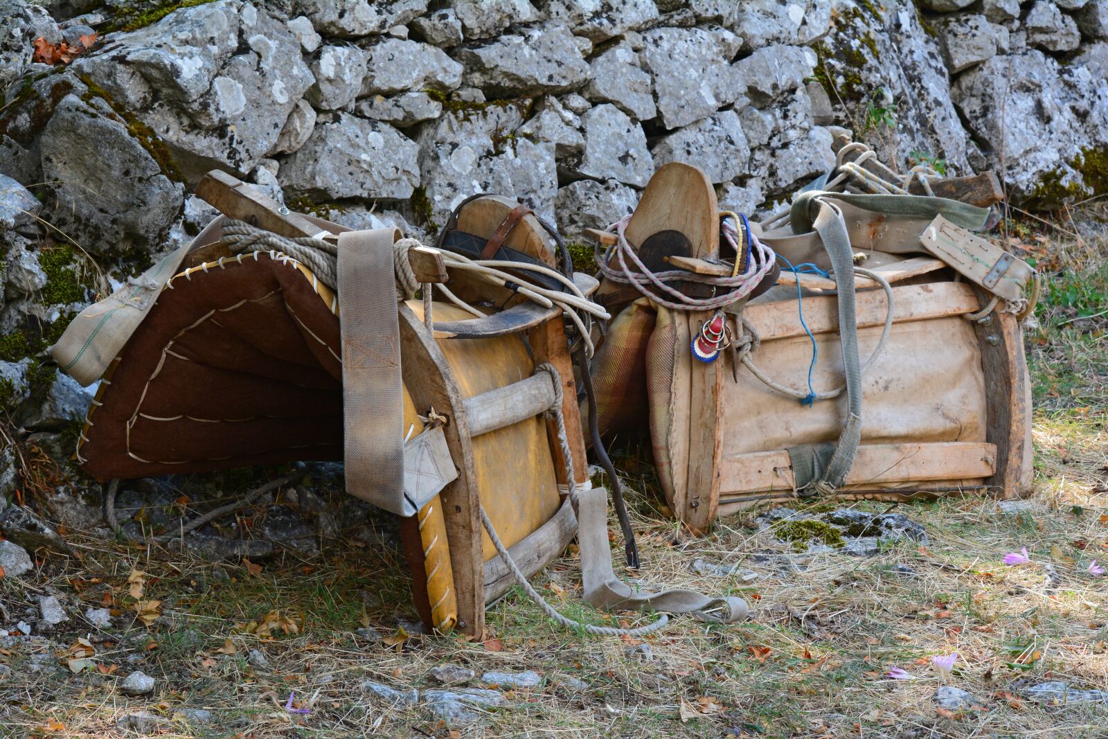 Nikon D5200 sample photo. Saddle, pack saddle, horse photography