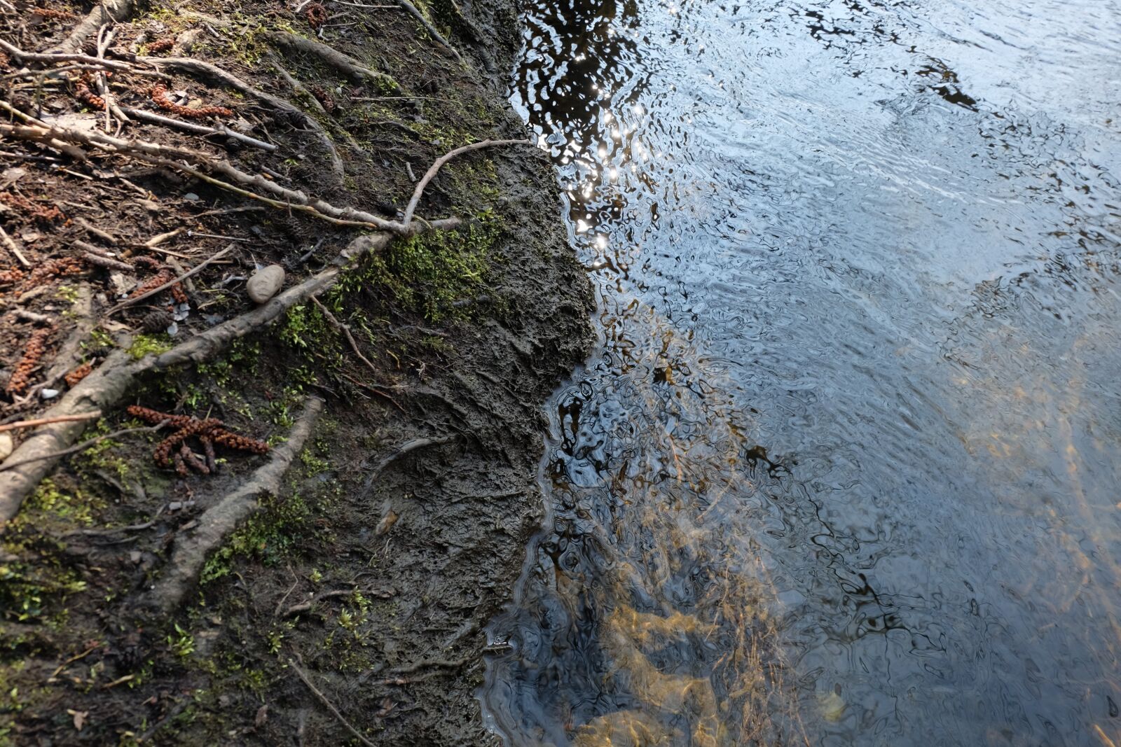Fujifilm X-M1 sample photo. Water, mirroring, nature photography