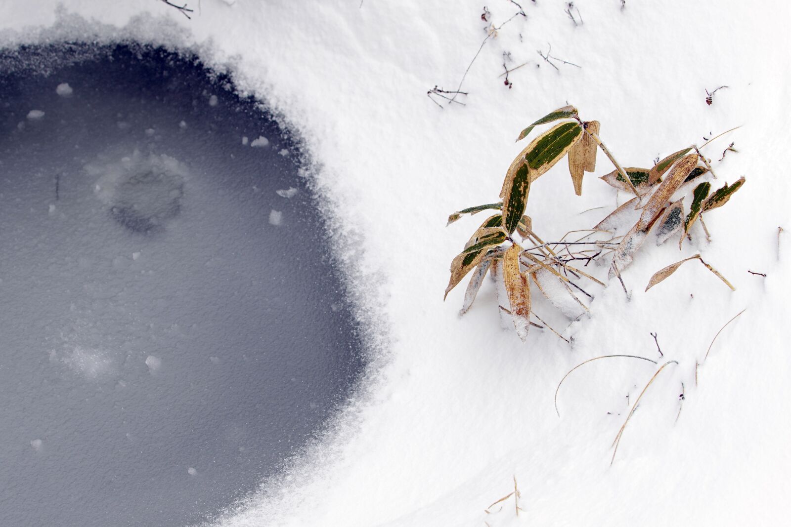 Canon EF 70-200mm F2.8L USM sample photo. Snow, white, winter photography