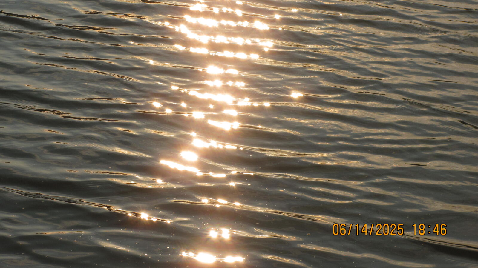 Canon PowerShot SX120 IS sample photo