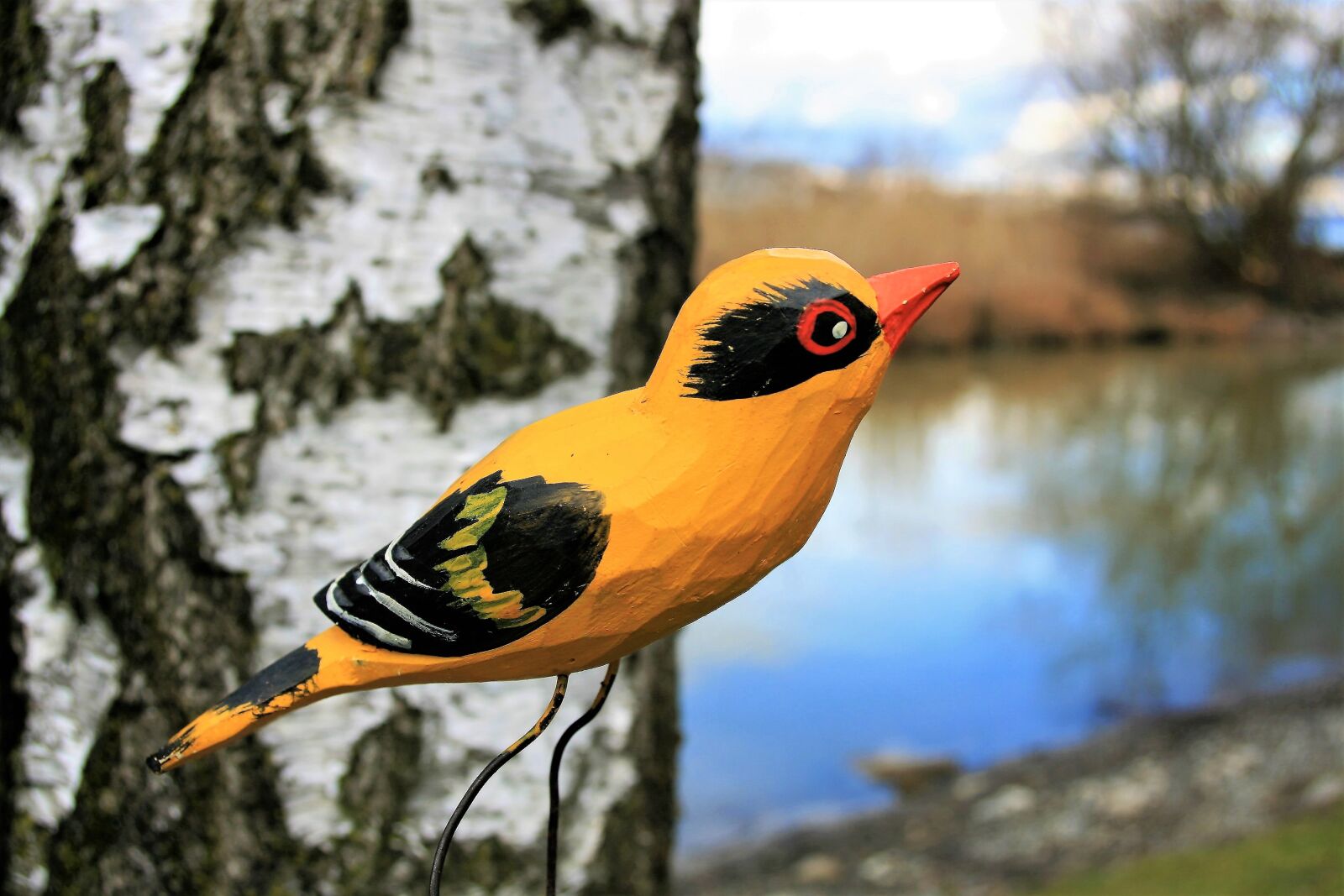 Canon EOS 400D (EOS Digital Rebel XTi / EOS Kiss Digital X) sample photo. Ornament, birch, bird photography