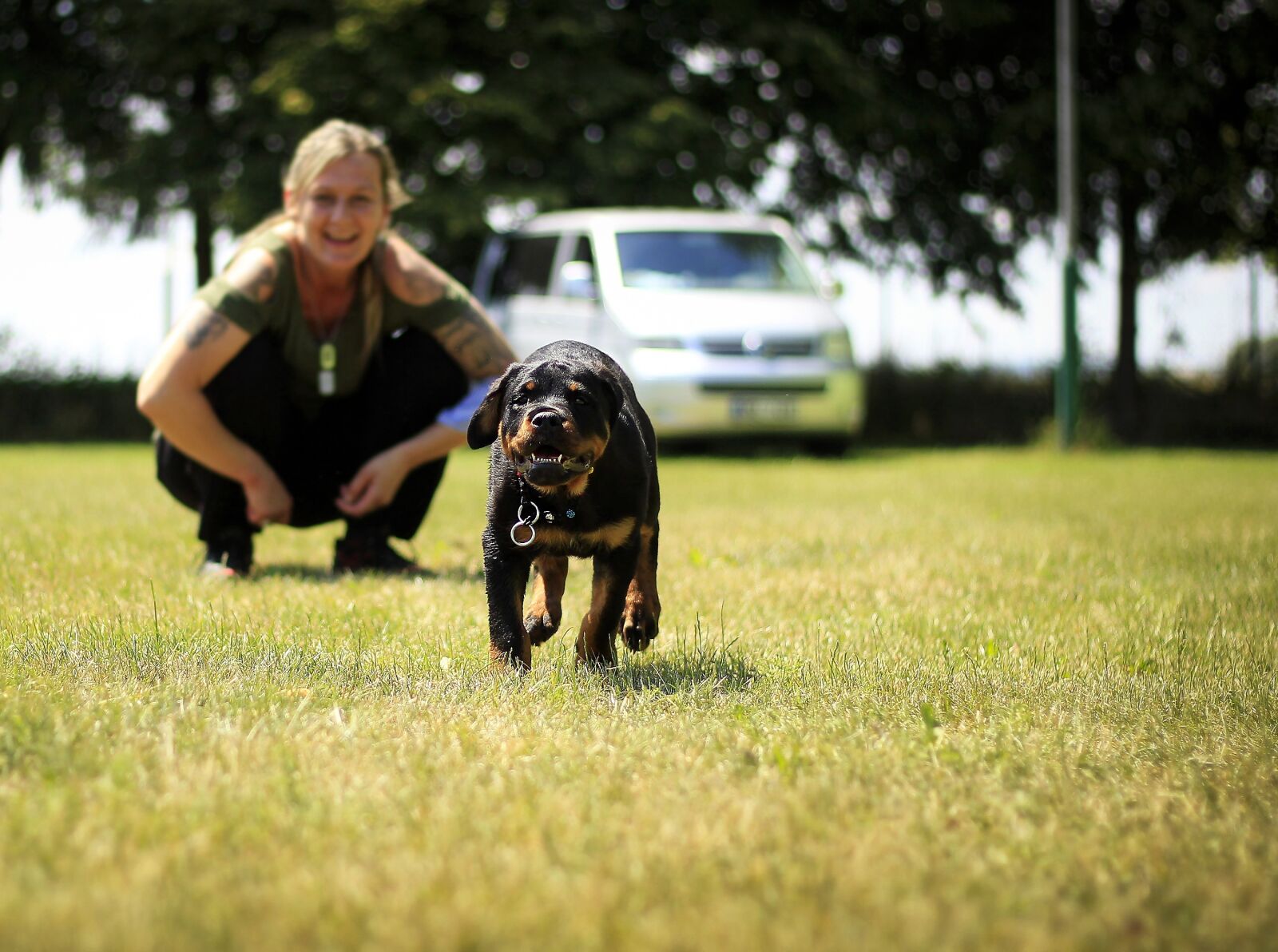 Canon EOS 600D (Rebel EOS T3i / EOS Kiss X5) + Canon EF 50mm F1.8 II sample photo. Puppy, rottweiler, dog photography