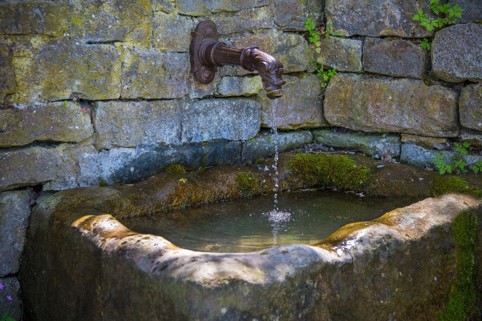Canon EF 24-105mm F4L IS USM sample photo. Fountain, water, water fountain photography