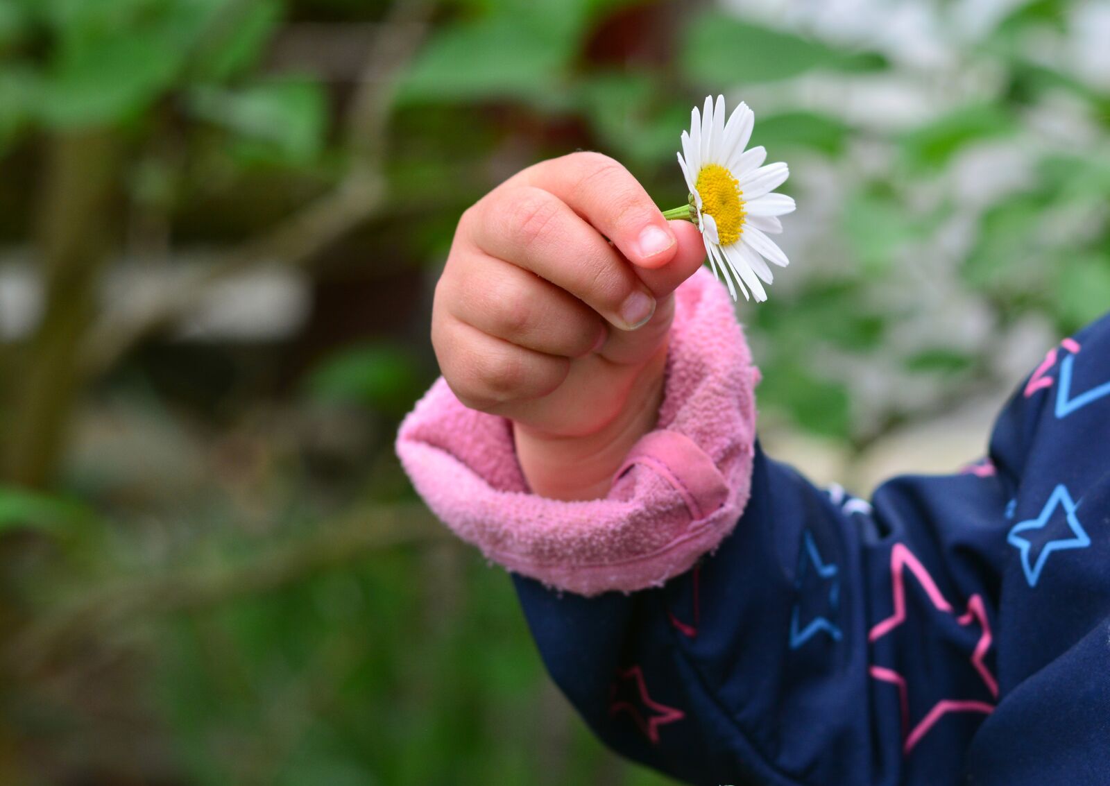 Nikon D5200 sample photo. Hand, child's hand, marguerite photography