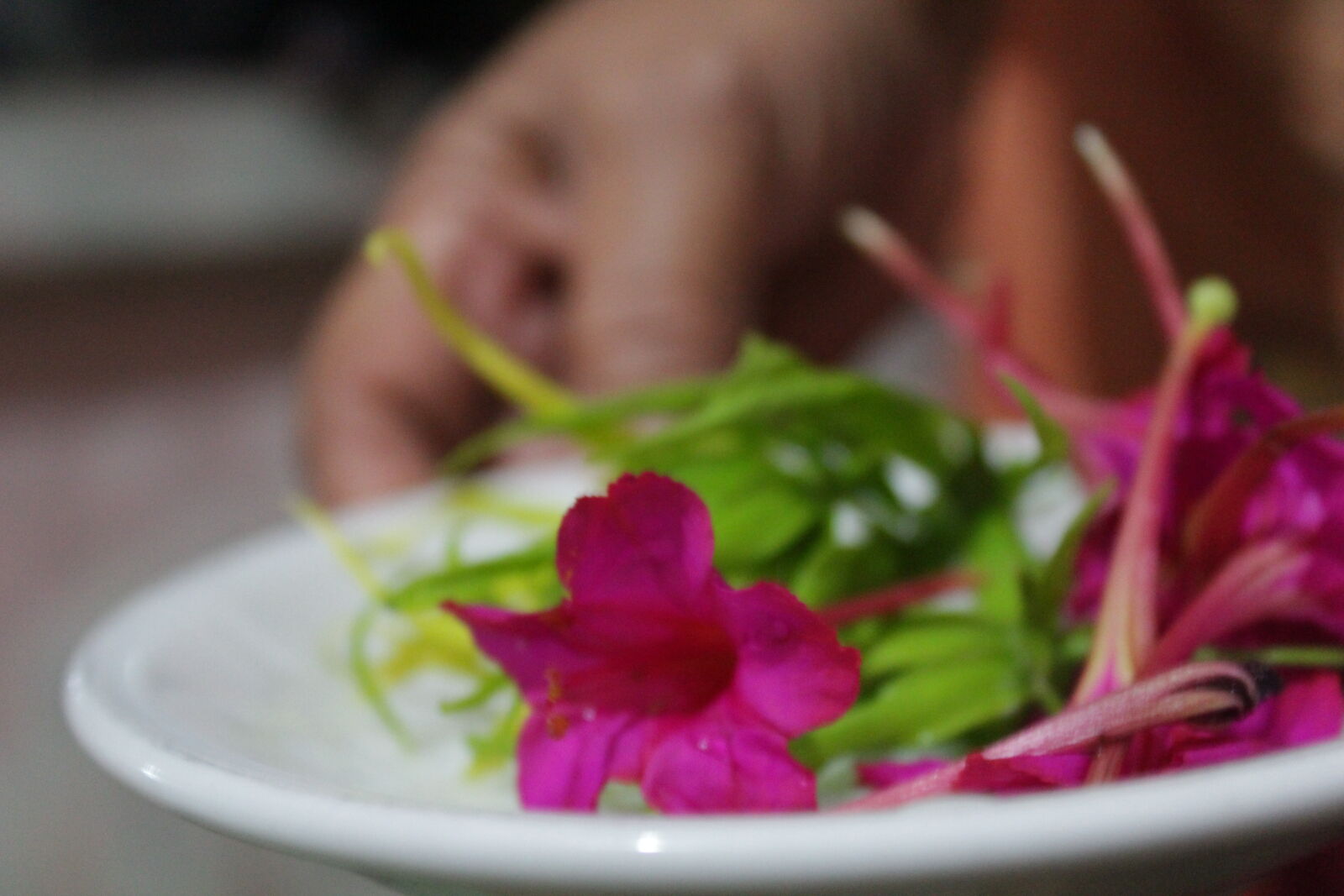 Canon EOS 1200D (EOS Rebel T5 / EOS Kiss X70 / EOS Hi) sample photo. Flower, blur, colorfull, canon1200d photography