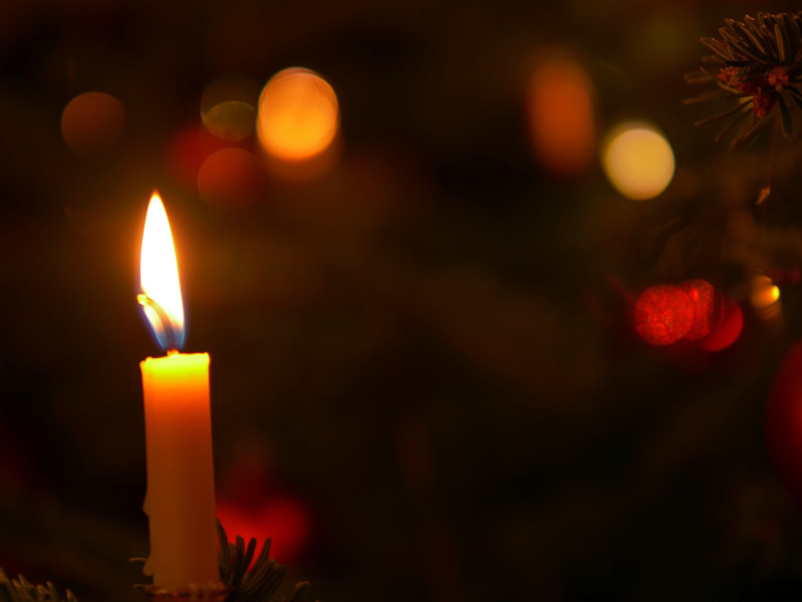 Panasonic Lumix DC-GH5 sample photo. Christmas, celebration, flare-up photography