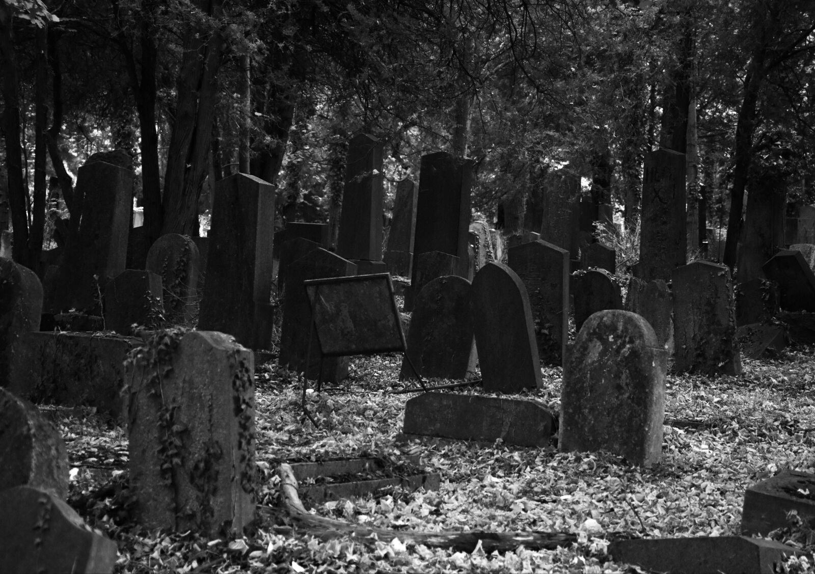 Nikon D7200 sample photo. Cemetery, tombstone, death photography