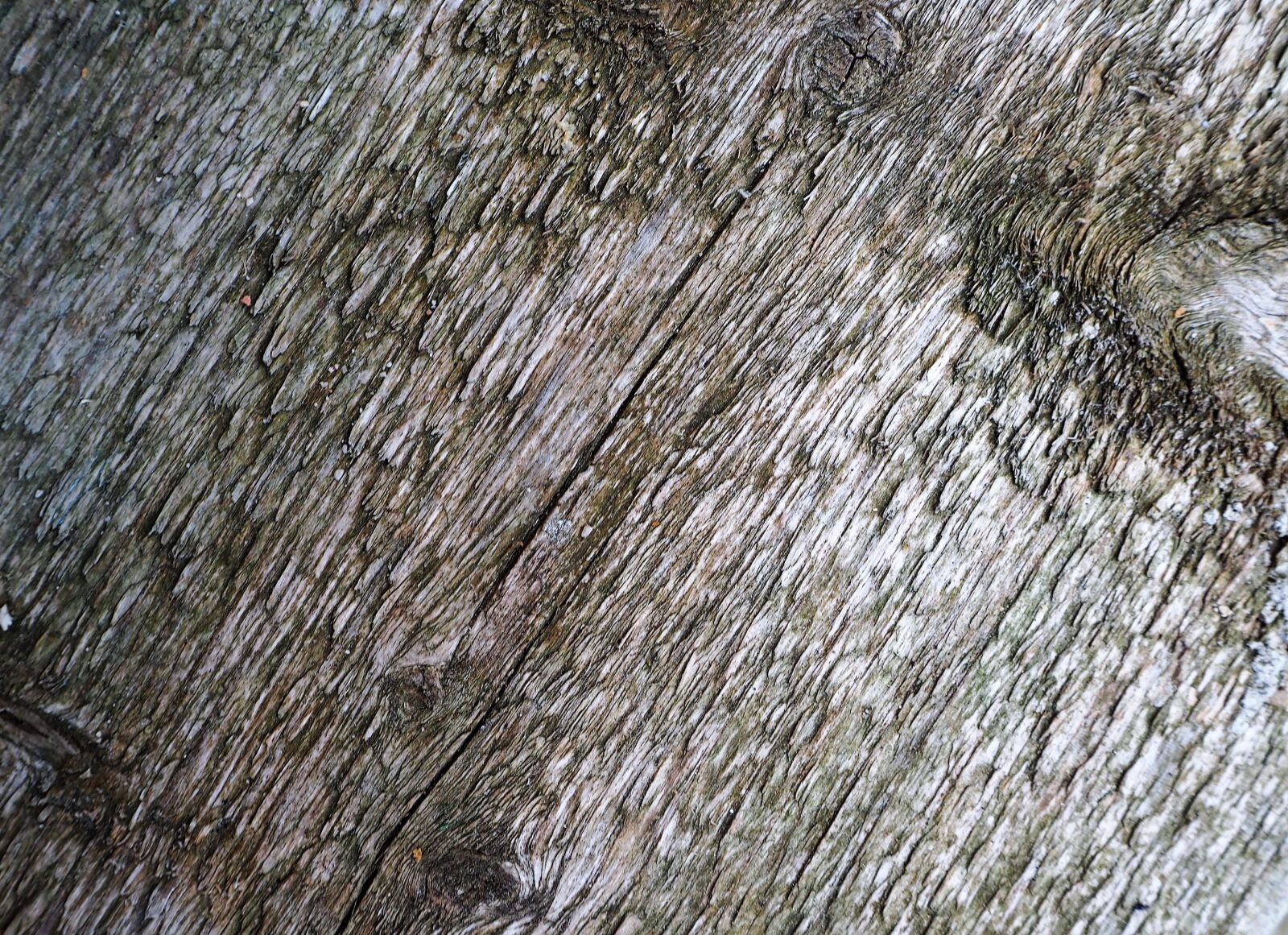 Olympus OM-D E-M10 sample photo. Wood, board, background photography