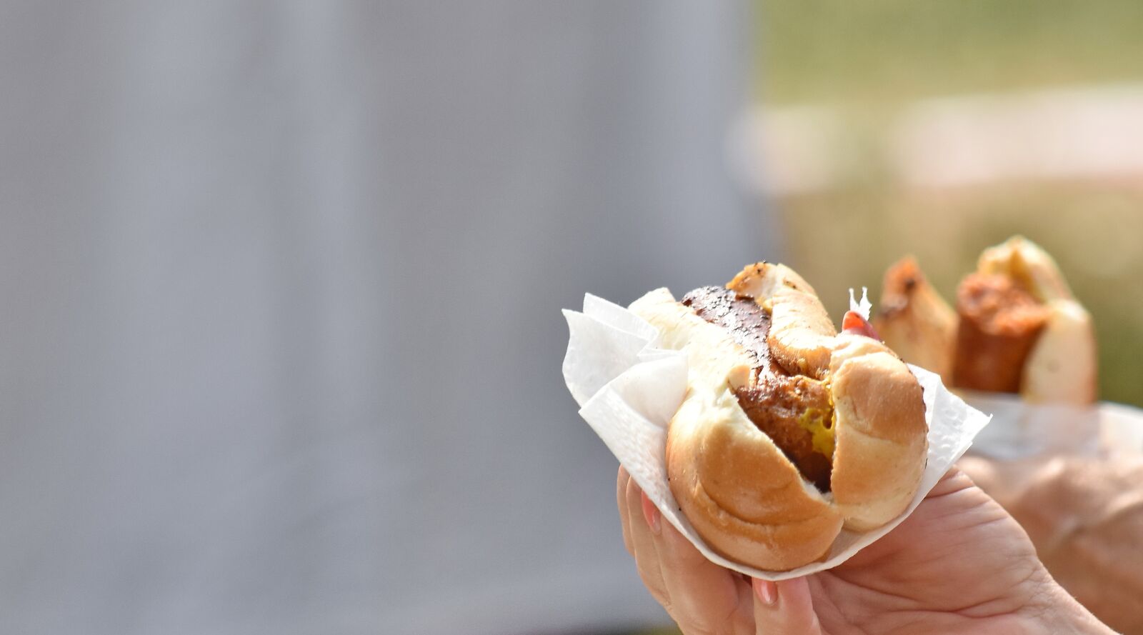 Nikon D5500 sample photo. Sandwich, food, delicious, traditional photography