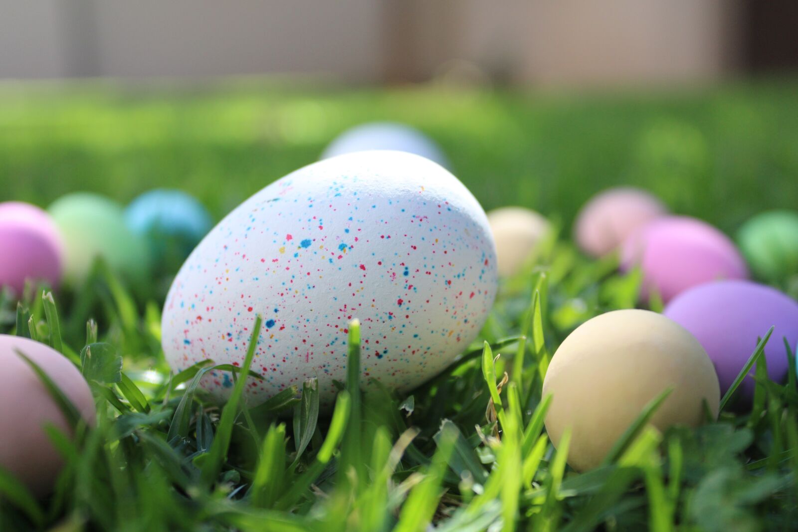 Canon EOS 2000D (EOS Rebel T7 / EOS Kiss X90 / EOS 1500D) sample photo. Easter, garden, decoration photography