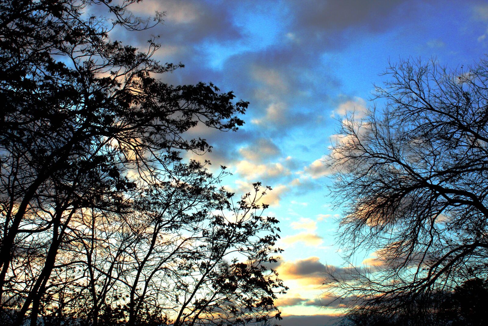 Canon EOS 450D (EOS Rebel XSi / EOS Kiss X2) sample photo. Sunset, nature, landscape photography
