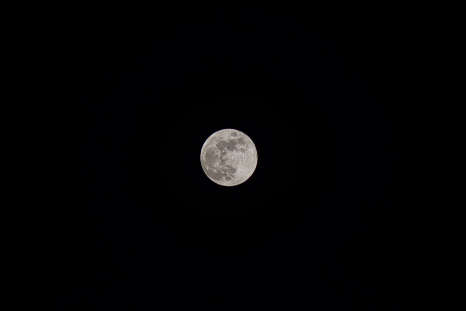 Nikon D7200 sample photo. Moon, night, dark photography