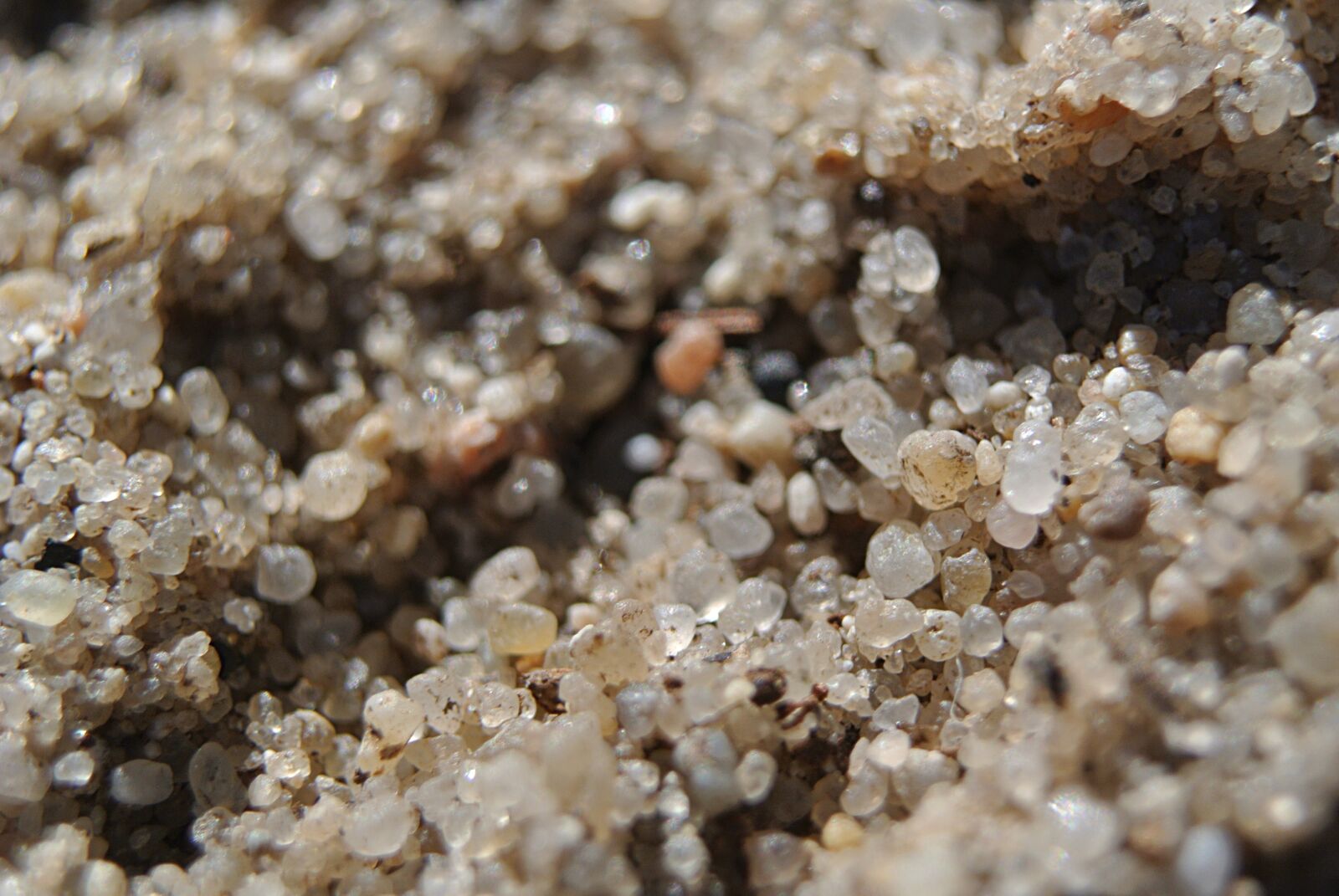 Nikon 1 Nikkor VR 10-30mm F3.5-5.6 sample photo. Macro, sand, beach photography