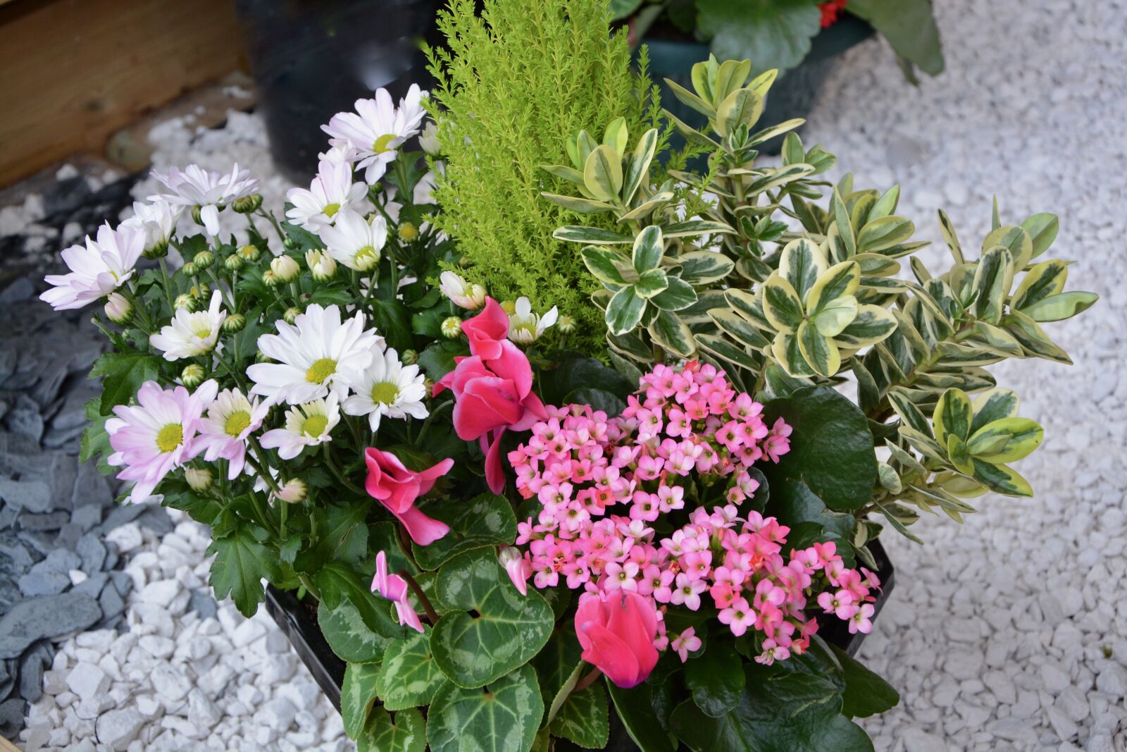 Nikon D5200 sample photo. Flowers, floral composition, event photography