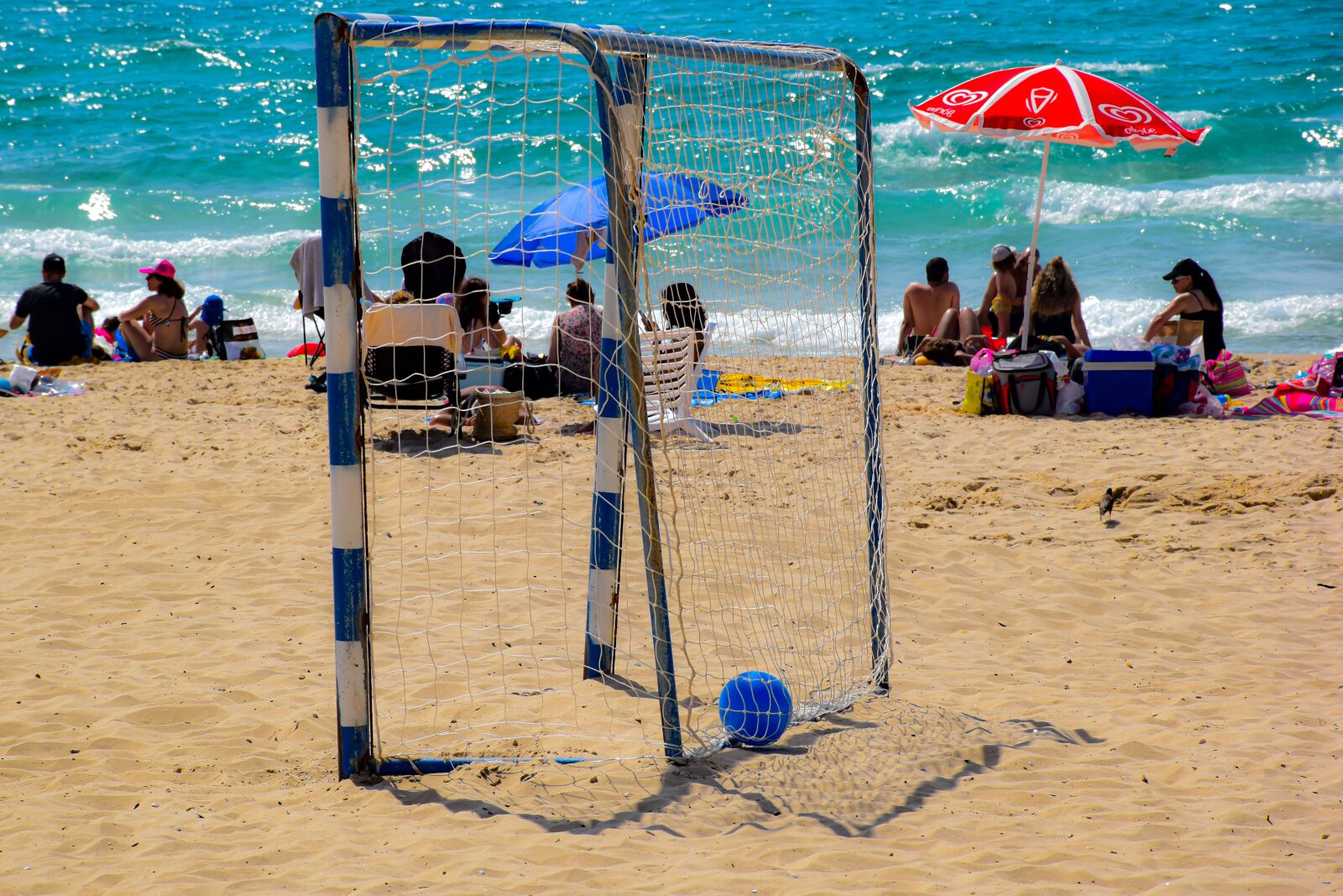 Nikon D5600 sample photo. Sea, sport, water photography