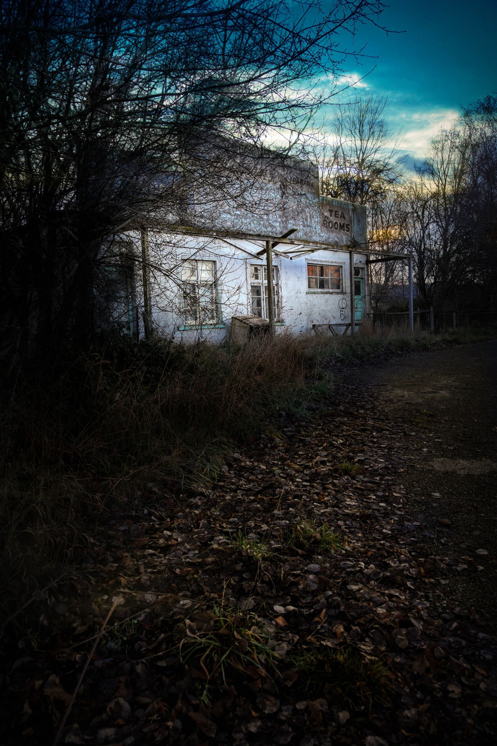 E 18-50mm F4-5.6 sample photo. Haunted, house, abandoned photography