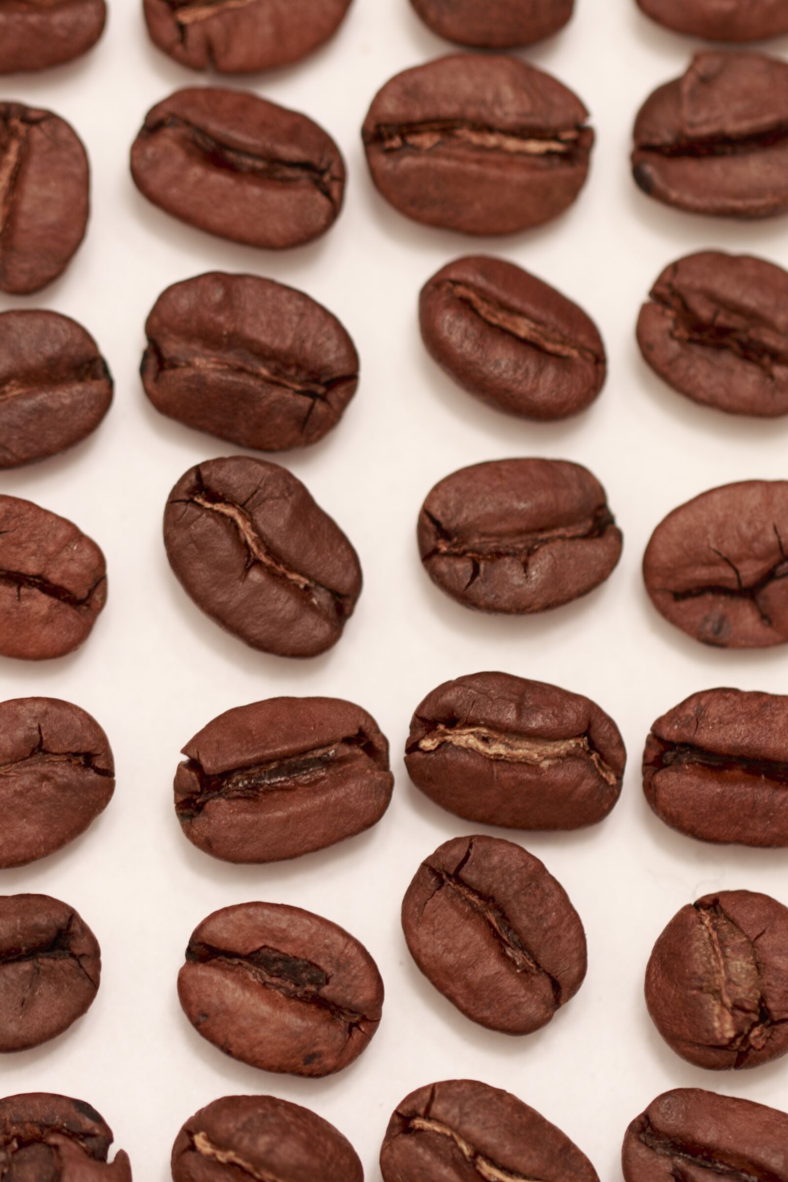 Canon EF 100mm F2.8L Macro IS USM sample photo. Coffee, bean, coffee bean photography