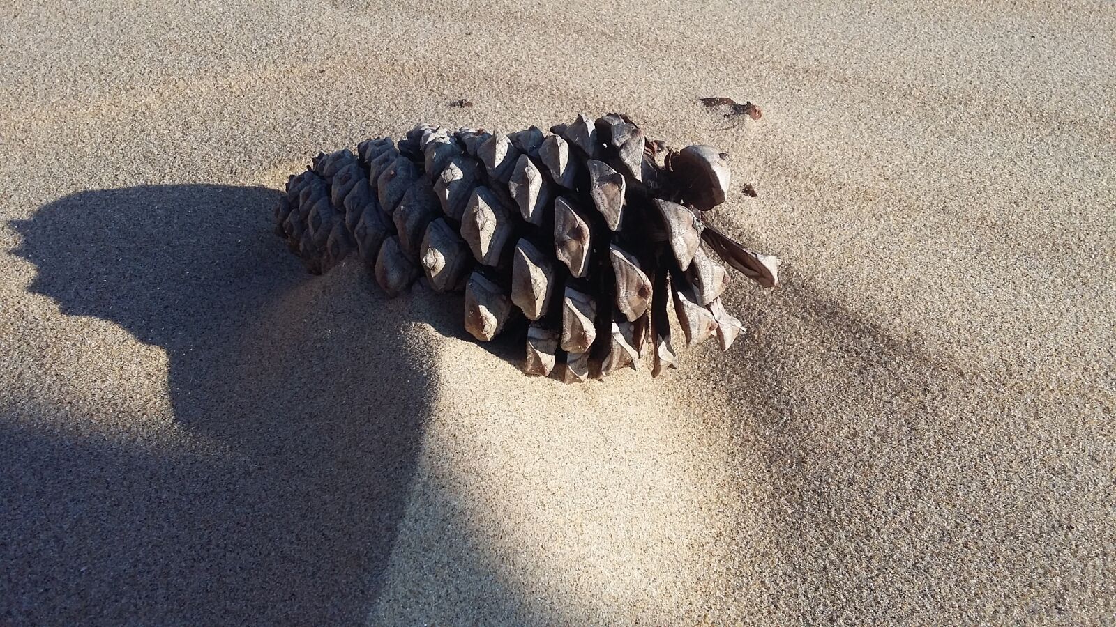 Samsung Galaxy Grand Prime sample photo. Beach, close up, sand photography
